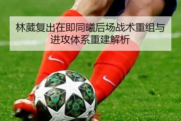 林葳复出在即同曦后场战术重组与进攻体系重建解析
